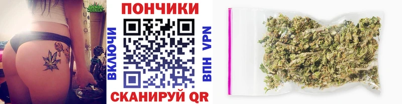 Бошки марихуана индика  kraken рабочий сайт  Тихвин 